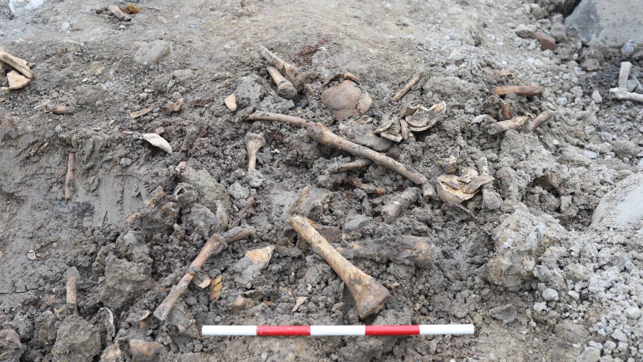 Découverte de mystérieux ossements humains sur le site de construction d’un musée au Danemark