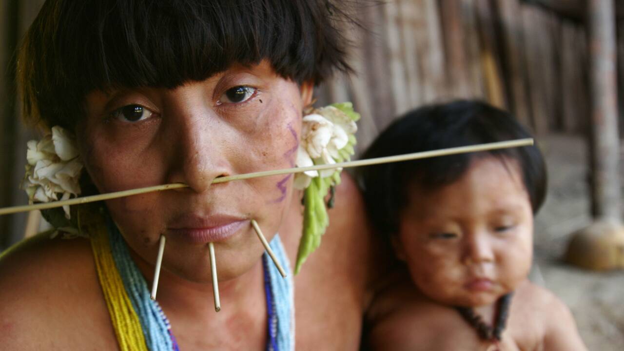 Covid-19 : l'inquiétude grandit pour les tribus amazoniennes vulnérables face au coronavirus