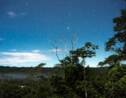 En Amazonie équatorienne, le peuple Sarayaku tente de lutter contre le coronavirus grâce aux remèdes de la forêt