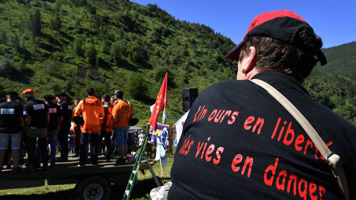 En Ariège, le camp anti-ours s'offre une démonstration de force