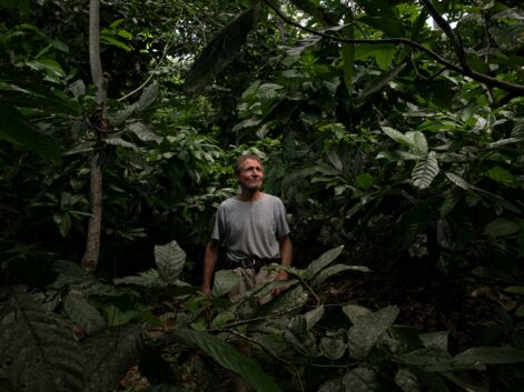 Brésil : Ernst Götsch, ce fermier suisse qui réinvente la forêt