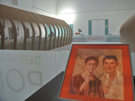Dernier repas à Pompéi : à la découverte de l'exposition du musée de l'Homme