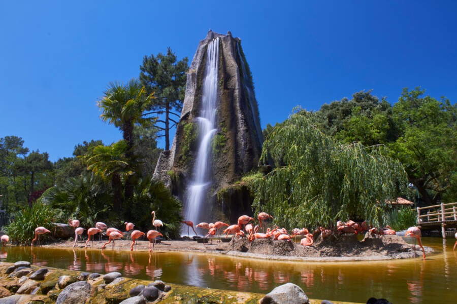 Les plus beaux zoos de France GEO — free download