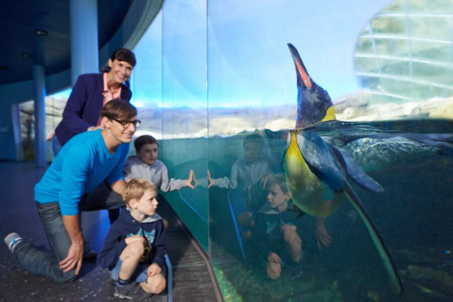 Les plus beaux zoos d'Europe - GEO