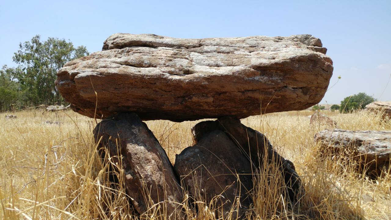 Dans le Golan, des gravures d'animaux vieilles de plus de 4 000 ans retrouvées sur un dolmen