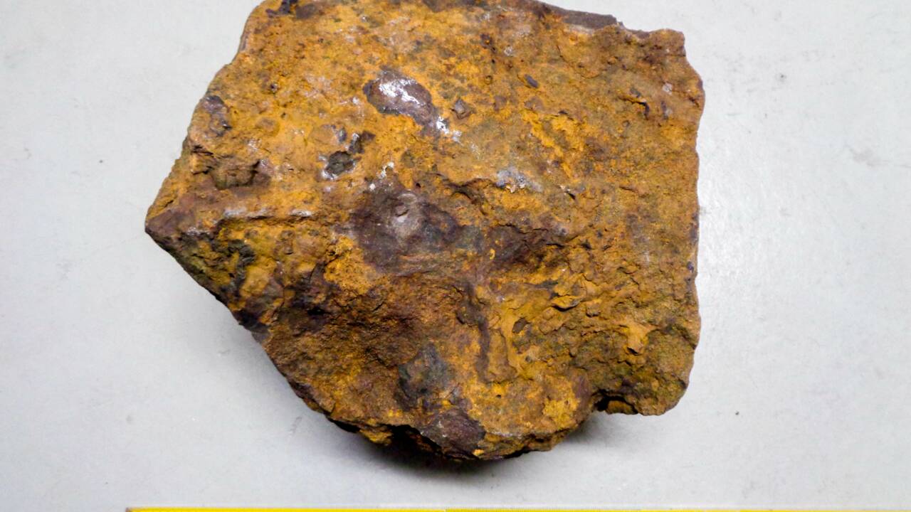 Trouvée dans un jardin, voici la plus grande météorite pierreuse jamais découverte en Allemagne