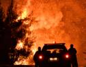 En Grèce, les pompiers luttent contre un violent incendie de forêt