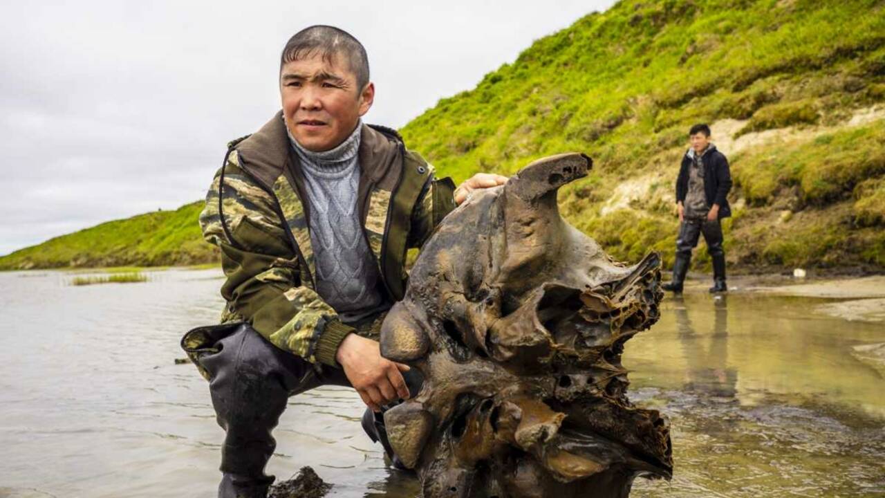 Sibérie : un squelette de mammouth parfaitement conservé découvert dans un lac