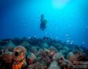 Cet été, visitez le premier musée sous-marin de Grèce