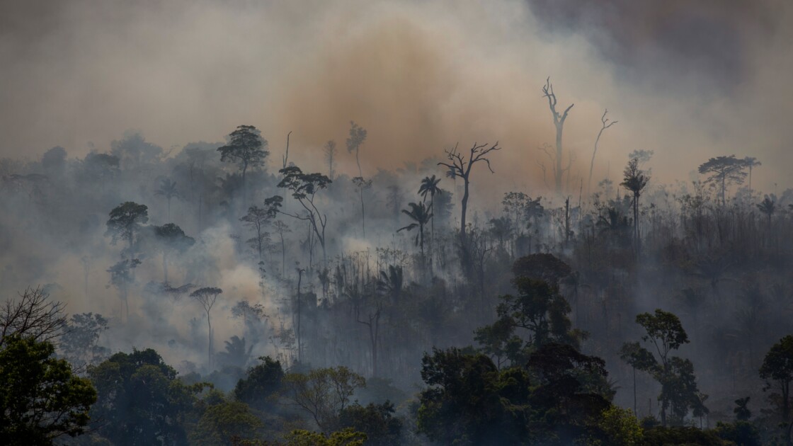 Amazonie en flammes Amazonie-bresilienne-tres-forte-augmentation-des-incendies