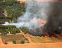 Brésil: record d'incendies en juillet au Pantanal