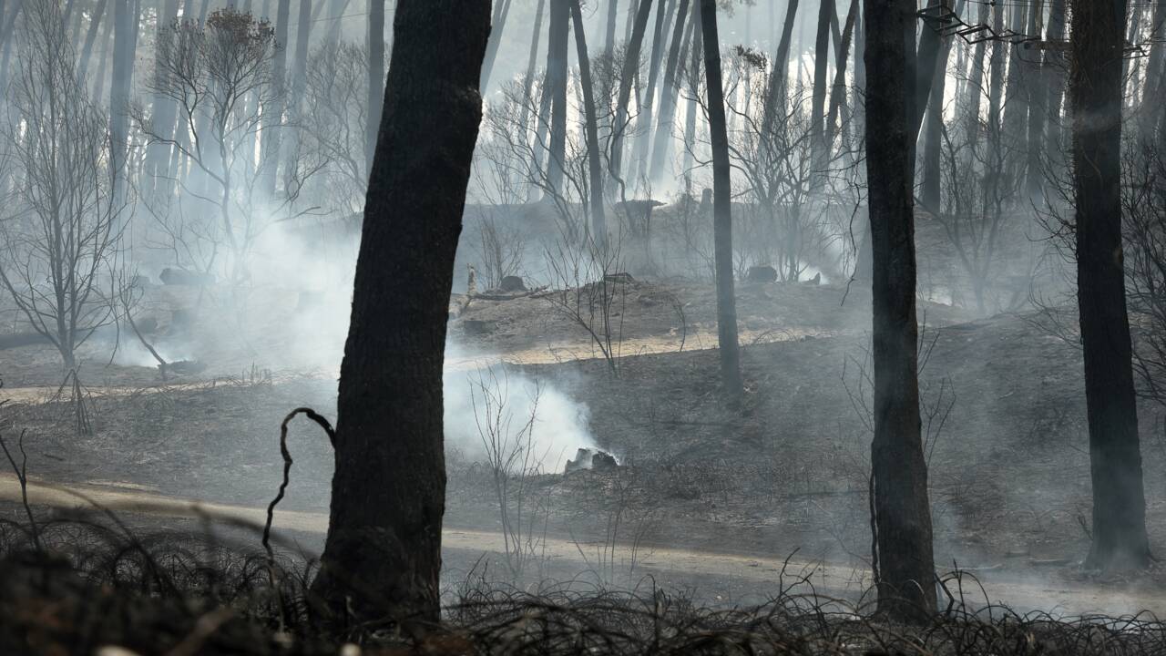 Feu de forêt maîtrisé à Anglet, 165 hectares détruits, enquête ouverte