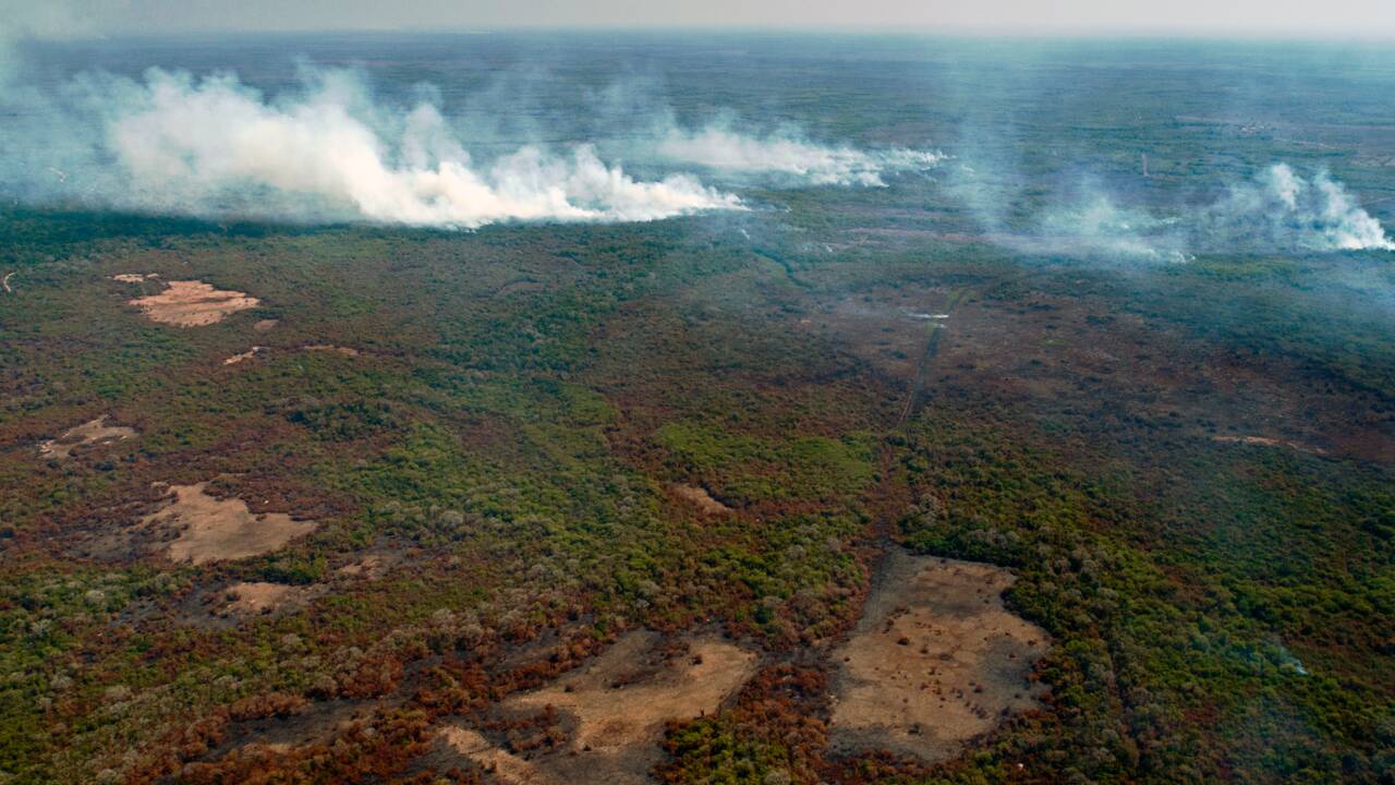 Brésil: les pompiers dans l'enfer des incendies au Pantanal