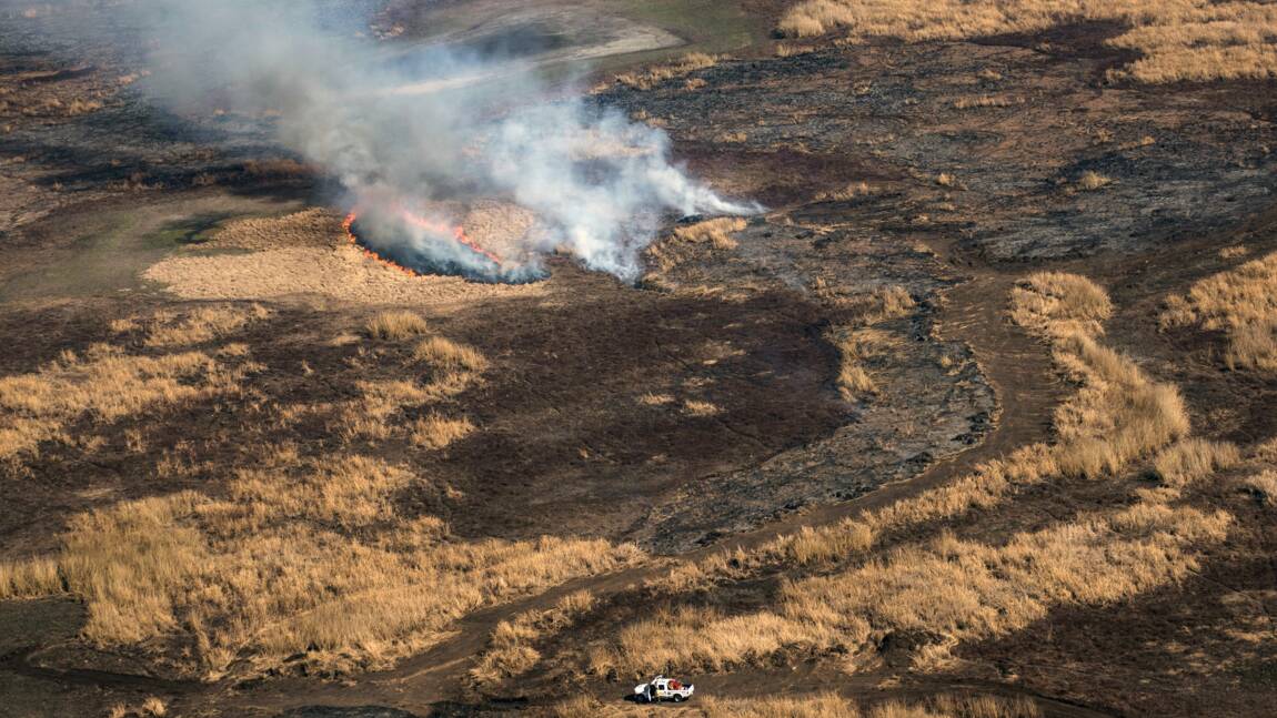 Argentine: le delta du Parana en proie à des incendies sans précédent
