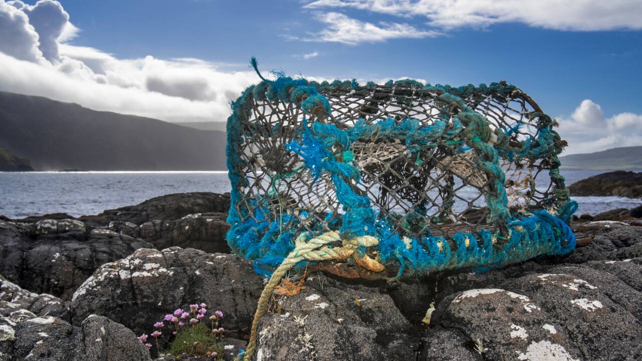 Pollution marine : l'Ifremer lance une application pour signaler les déchets de pêche