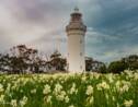 Job de rêve : le phare de Table Cape en Tasmanie cherche un nouveau guide