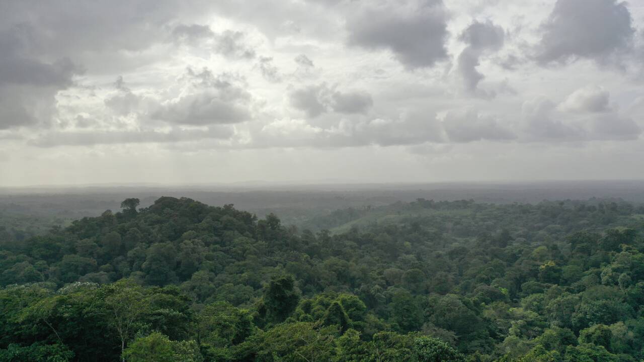Il a survécu 46 jours dans la jungle guyanaise, le jeune aventurier Eliott Schonfeld raconte