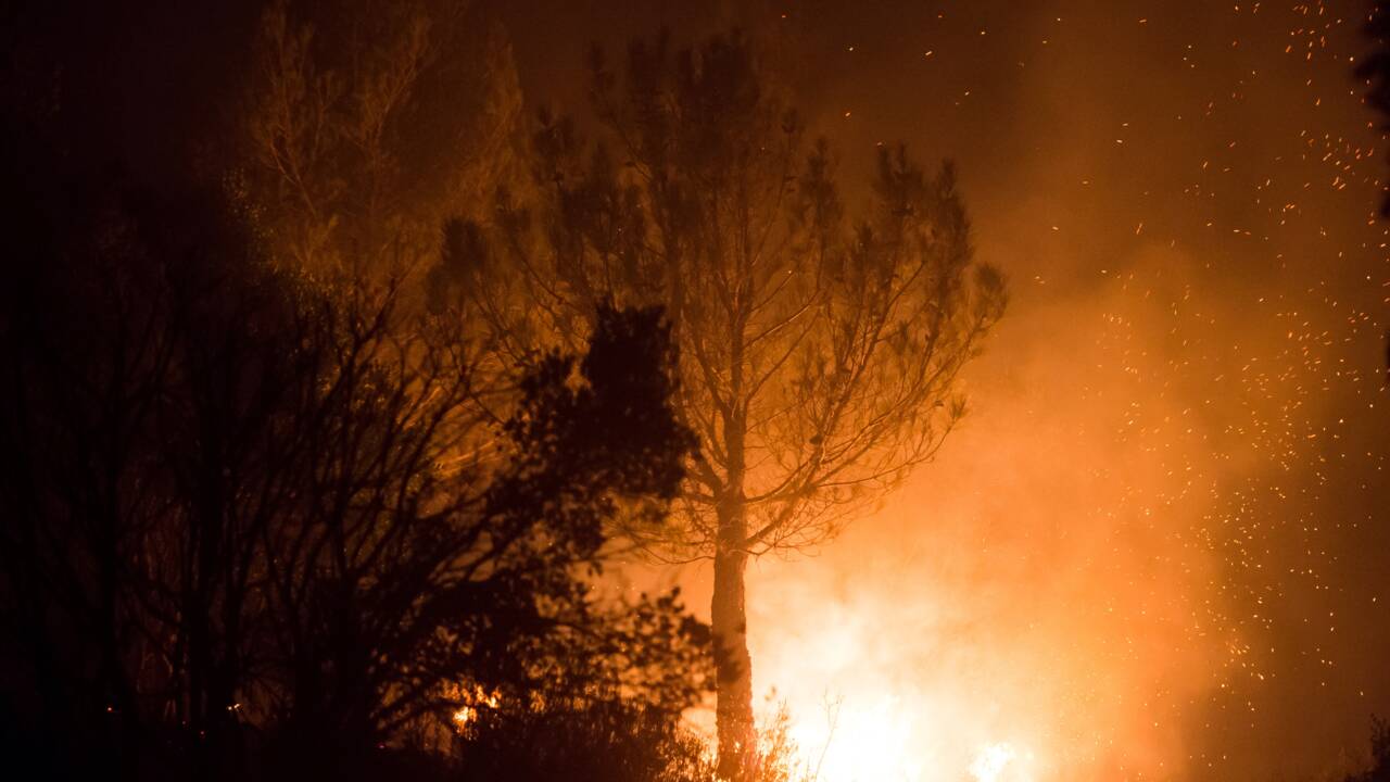 Vaucluse: incendie fixé, 130 hectares brûlés