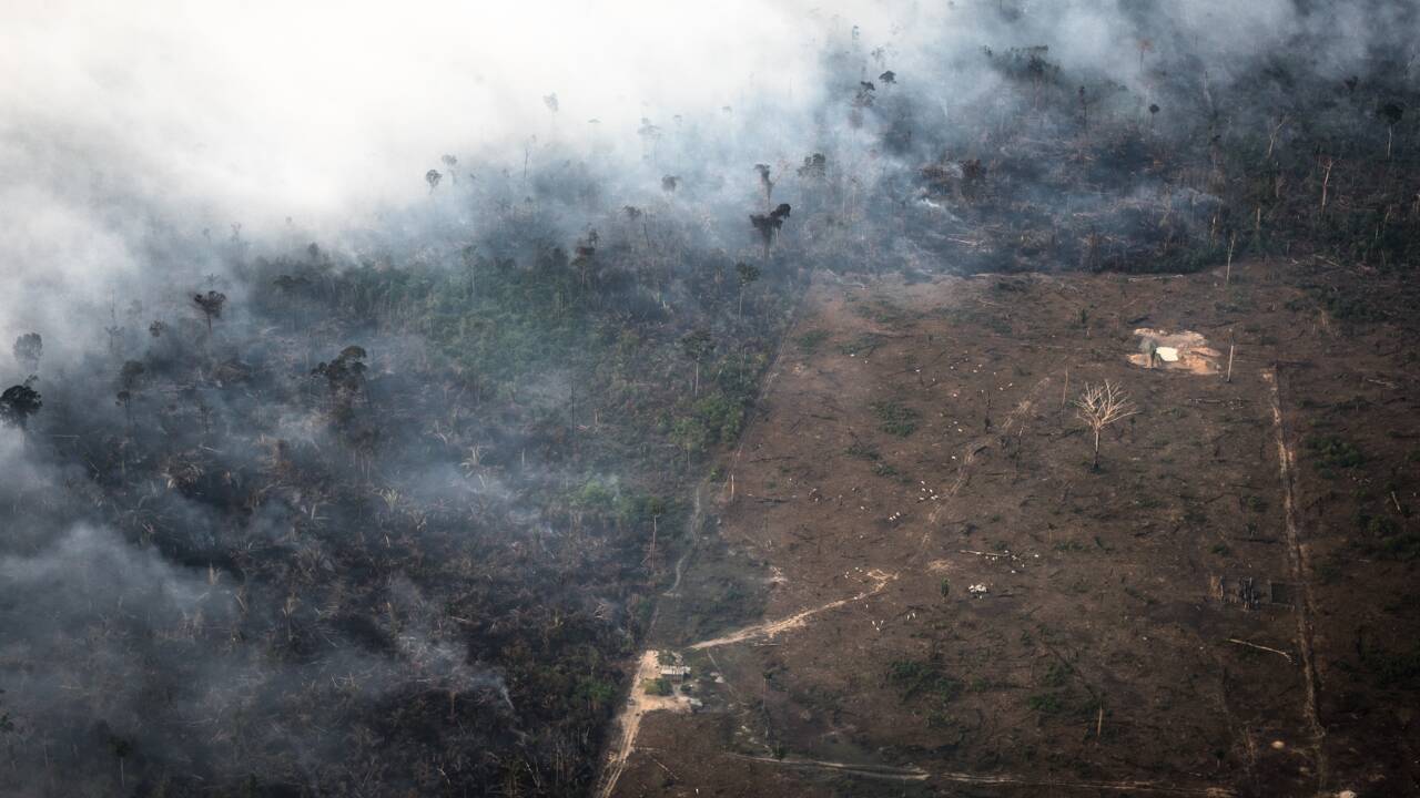 Au Brésil, les incendies illégaux continuent de ravager la forêt amazonienne