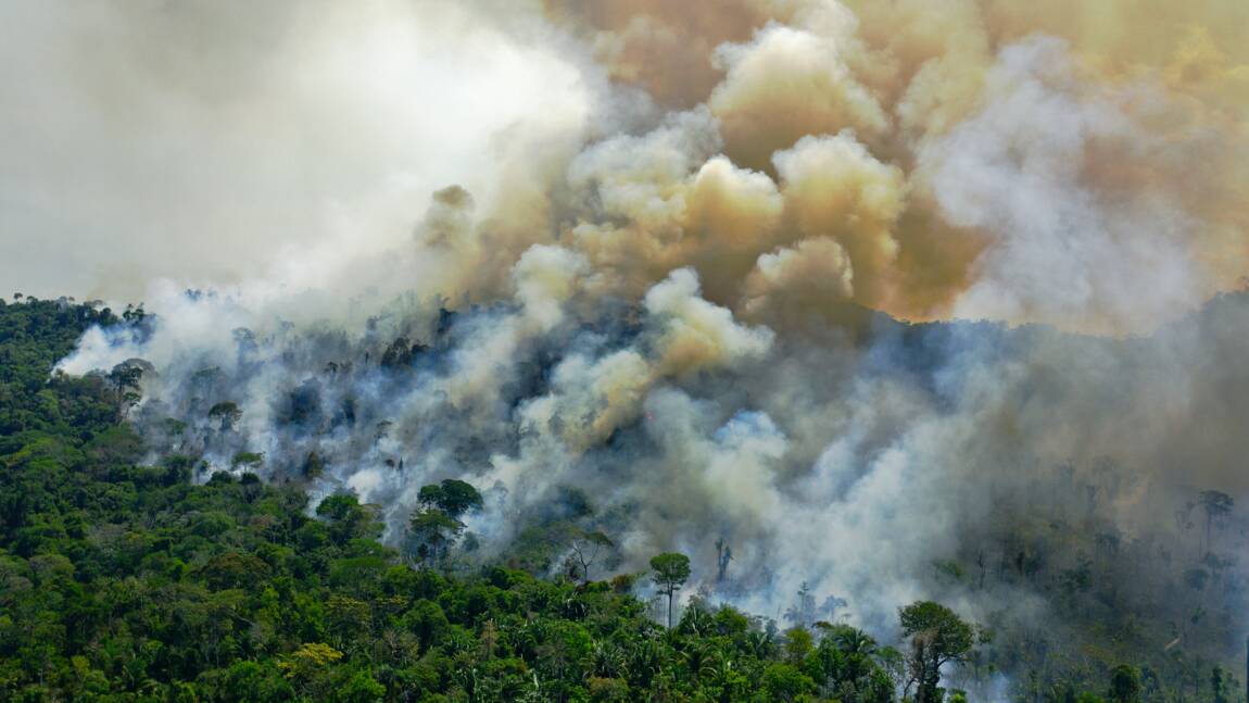 Déforestation record en Amazonie brésilienne depuis 12 ans