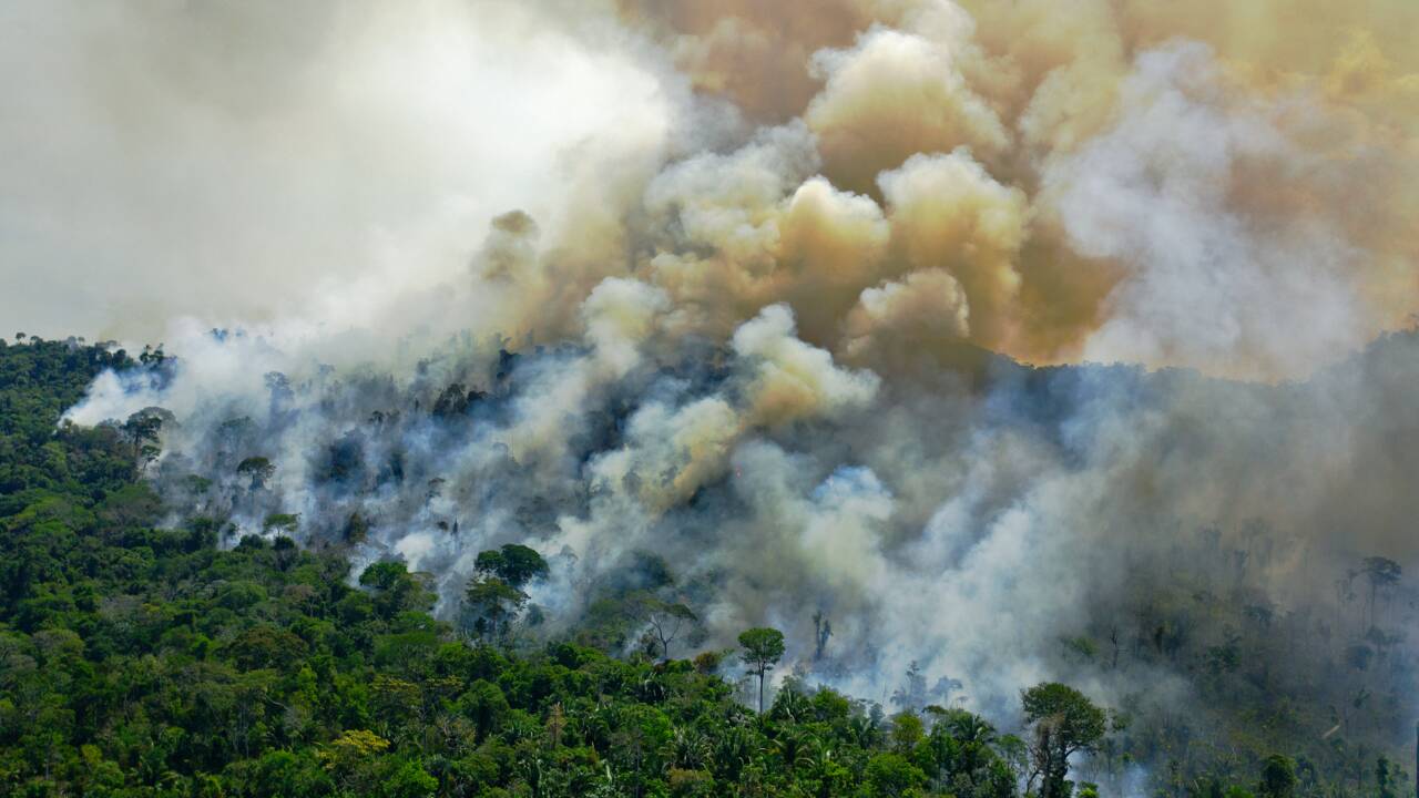 Brésil: les incendies "empoisonnent l'air" en Amazonie, selon une étude