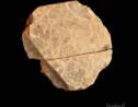 Des pierres gravées datant de 15 000 ans sont les premières preuves d'art trouvées dans les îles britanniques