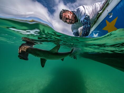 Les plus belles photos sous-marines de l'édition spéciale d'Ocean Art