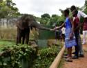 Hyène échappée, animaux mal nourris: fermeture du zoo d'Abidjan