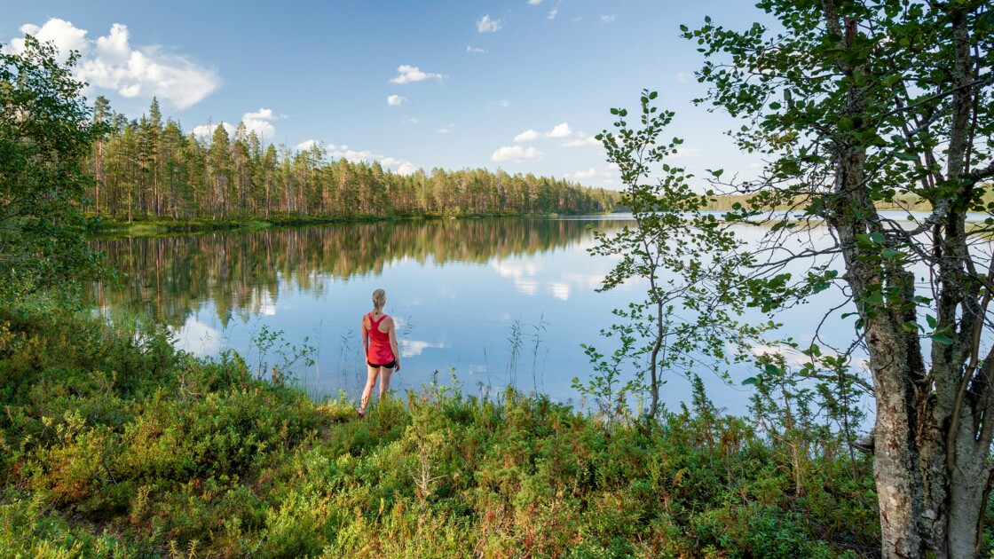 Finlande Sept Parcs Nationaux Pour Vivre Une Experience En Pleine Nature Geo Fr