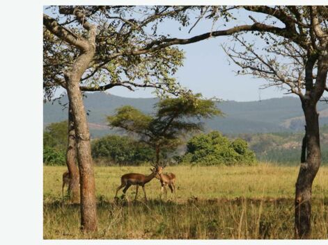 Les plus belles photos du Swaziland par la Communauté GEO