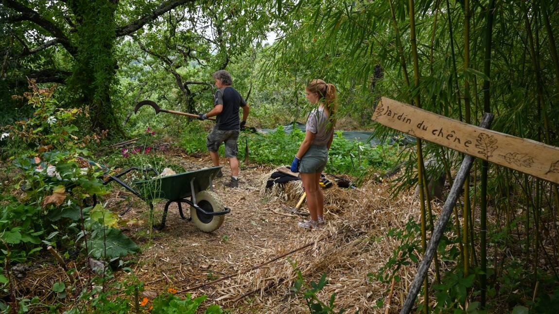 En Ardèche, un jardin agroécologique forme des citadins en quête de changement