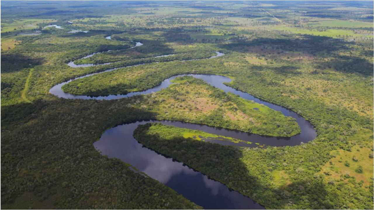 Le Pantanal, un paradis vert dans l'enfer des flammes