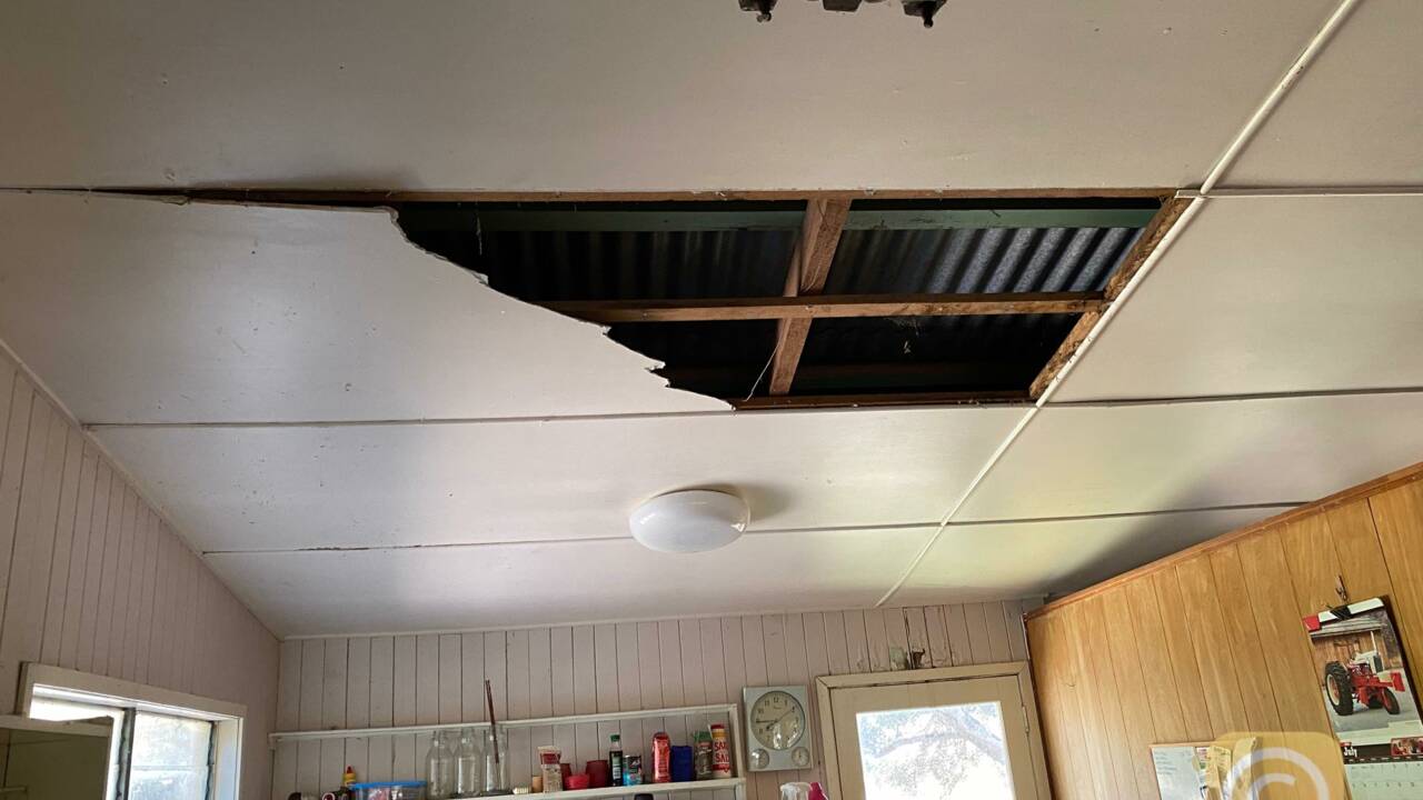 Deux gigantesques pythons éventrent le toit de la cuisine d'un retraité australien