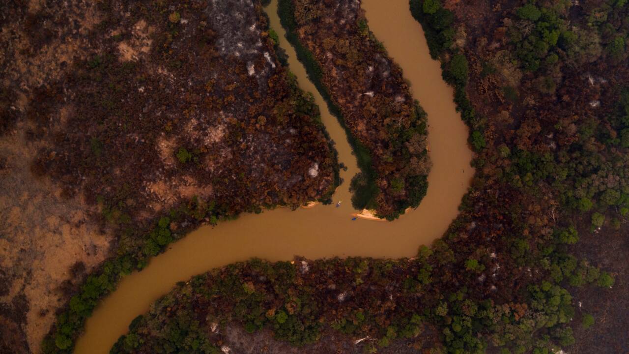 Brésil: stupeur et désolation dans un Pantanal dévoré par les flammes