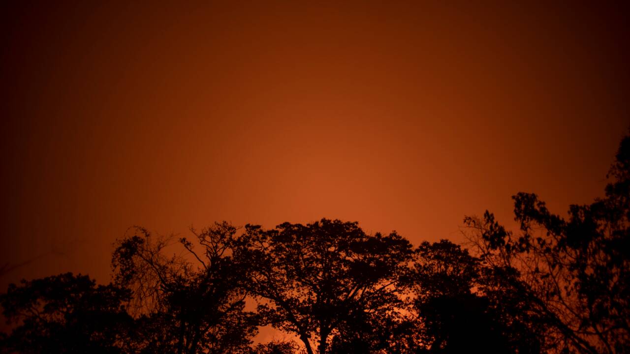 Brésil: stupeur et désolation dans un Pantanal dévoré par les flammes