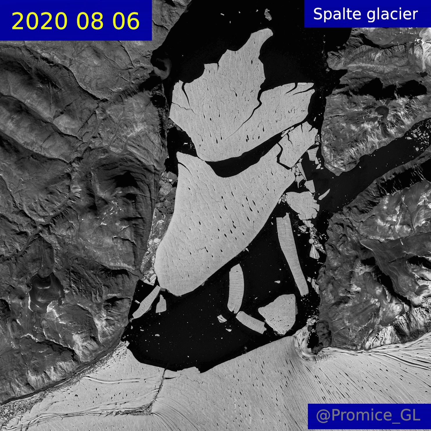 Le plus grand glacier d’Arctique a perdu 113 km2 de glace sous l'effet de la chaleur