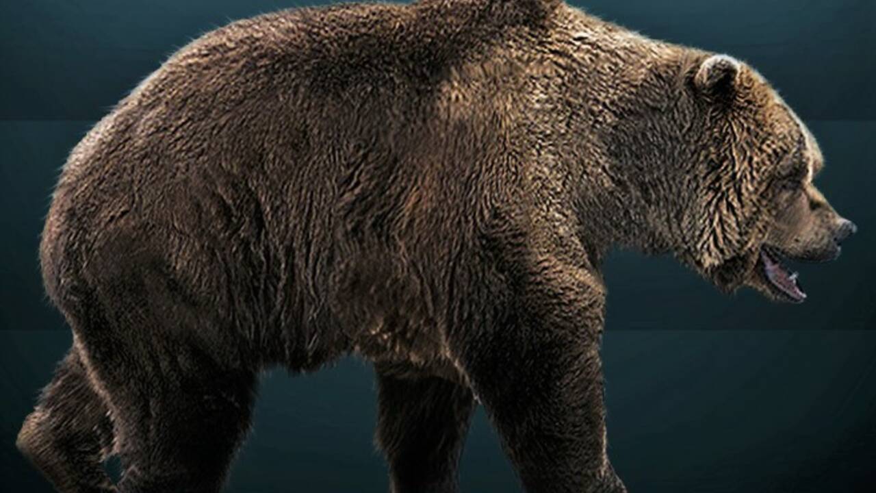 Sibérie : découverte d’une momie d’ours des cavernes vieille de plusieurs milliers d’années