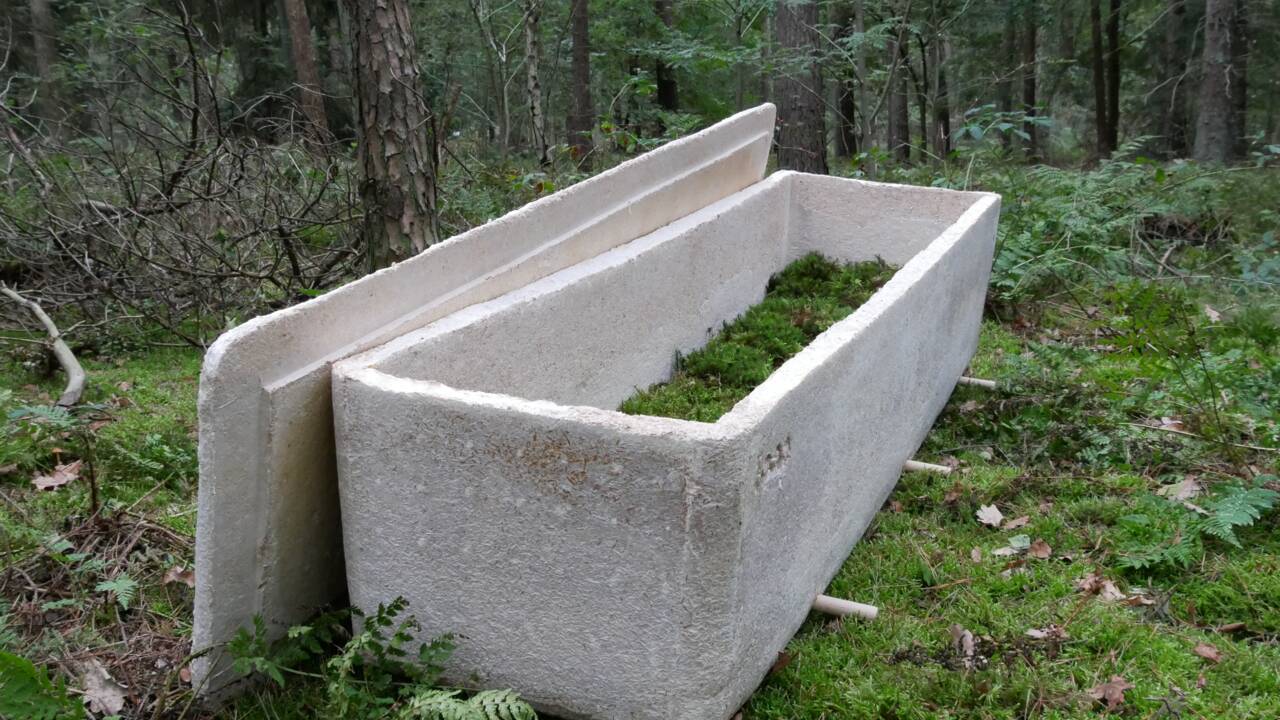 Un biodesigner crée un cercueil "vivant" fabriqué à partir de champignons