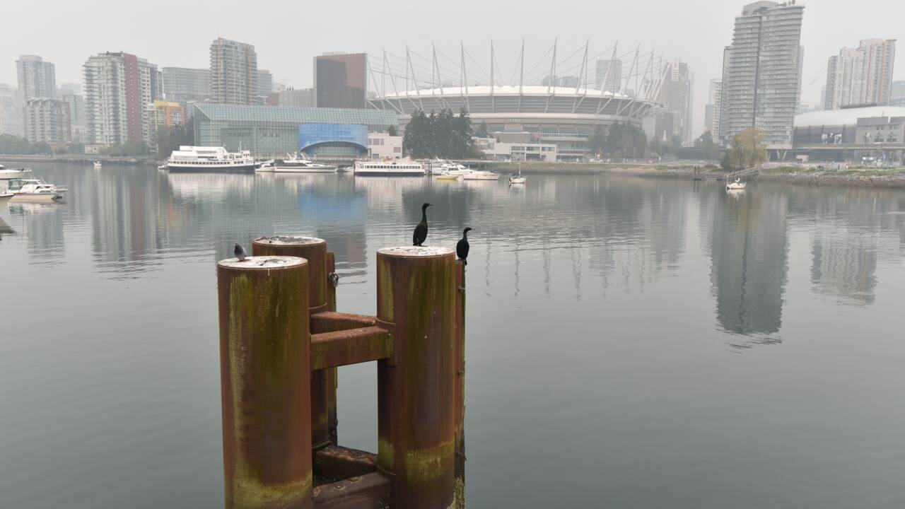 Canada: Vancouver étouffe sous la fumée des feux aux Etats-Unis