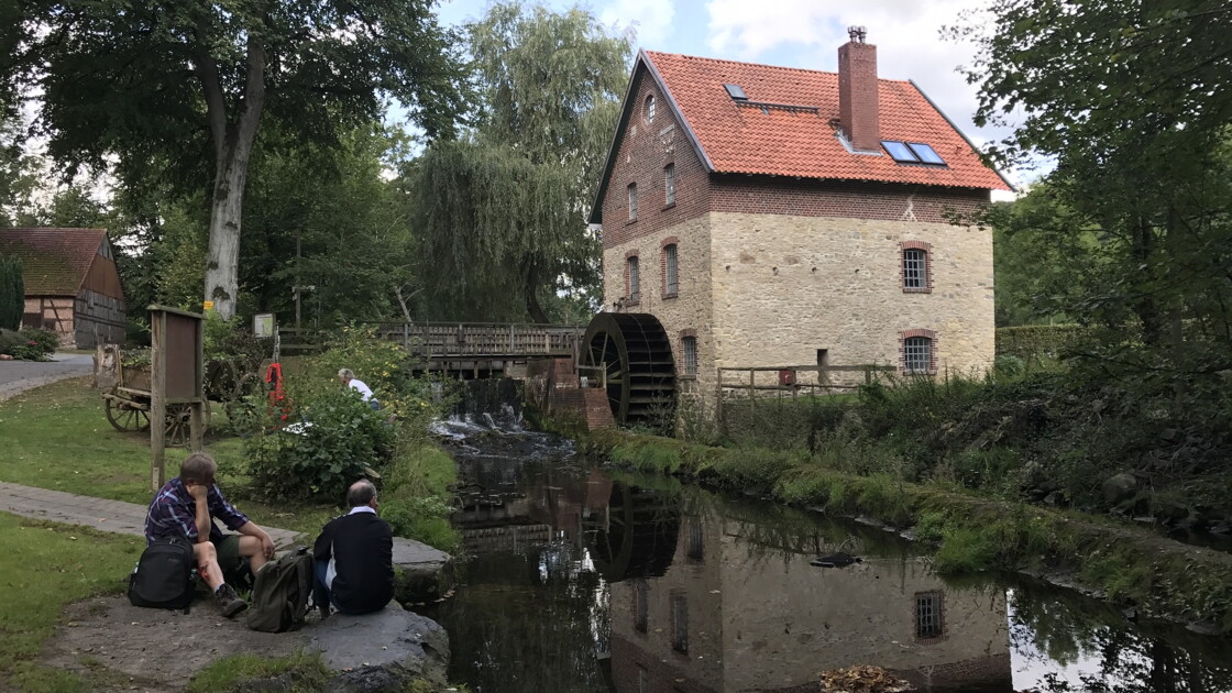Les Moulins A Eau Un Patrimoine Menace De Disparition Pour Preserver Les Poissons Geo Fr