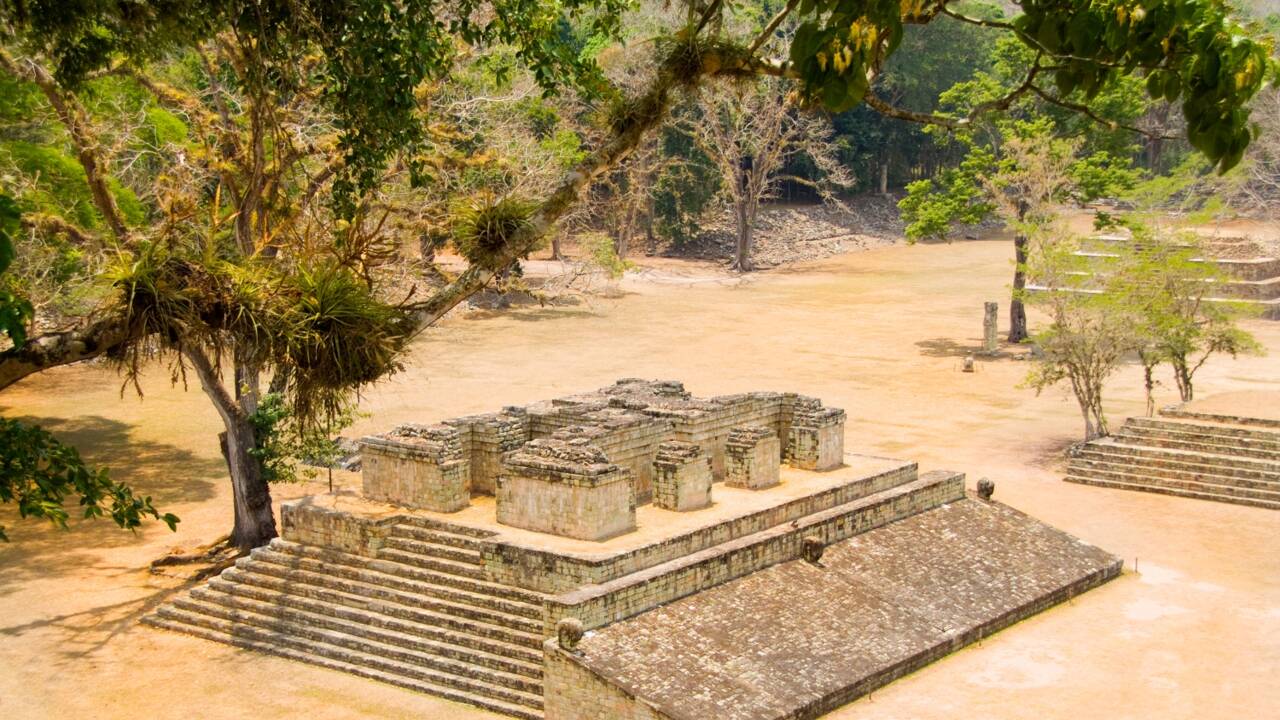 Honduras : des ruines mayas en danger 40 ans après leur classement par l'Unesco 