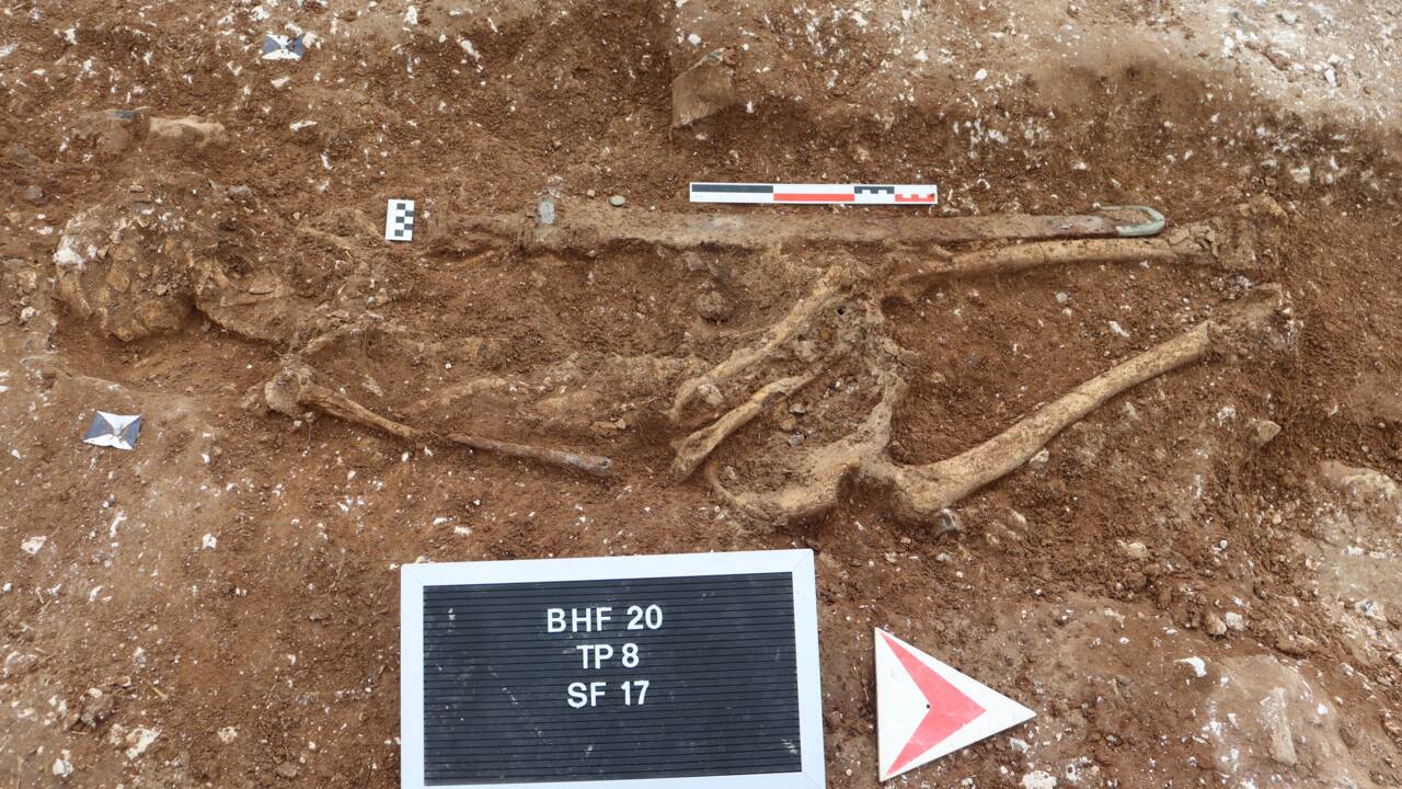 Des archéologues exhument la tombe d'un guerrier anglo-saxon enterré il y a 1400 ans 