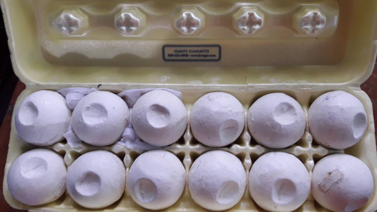 Tortues de mer : des faux œufs géolocalisés pour stopper le trafic illégal