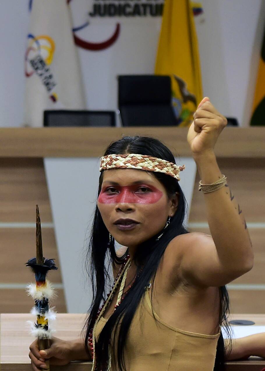 Equateur : Nemonte Nenquimo, l'"Erin Brockovich" waorani qui lutte contre l'exploitation pétrolière
