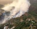 Les feux de forêt totalement maîtrisés en Syrie et au Liban