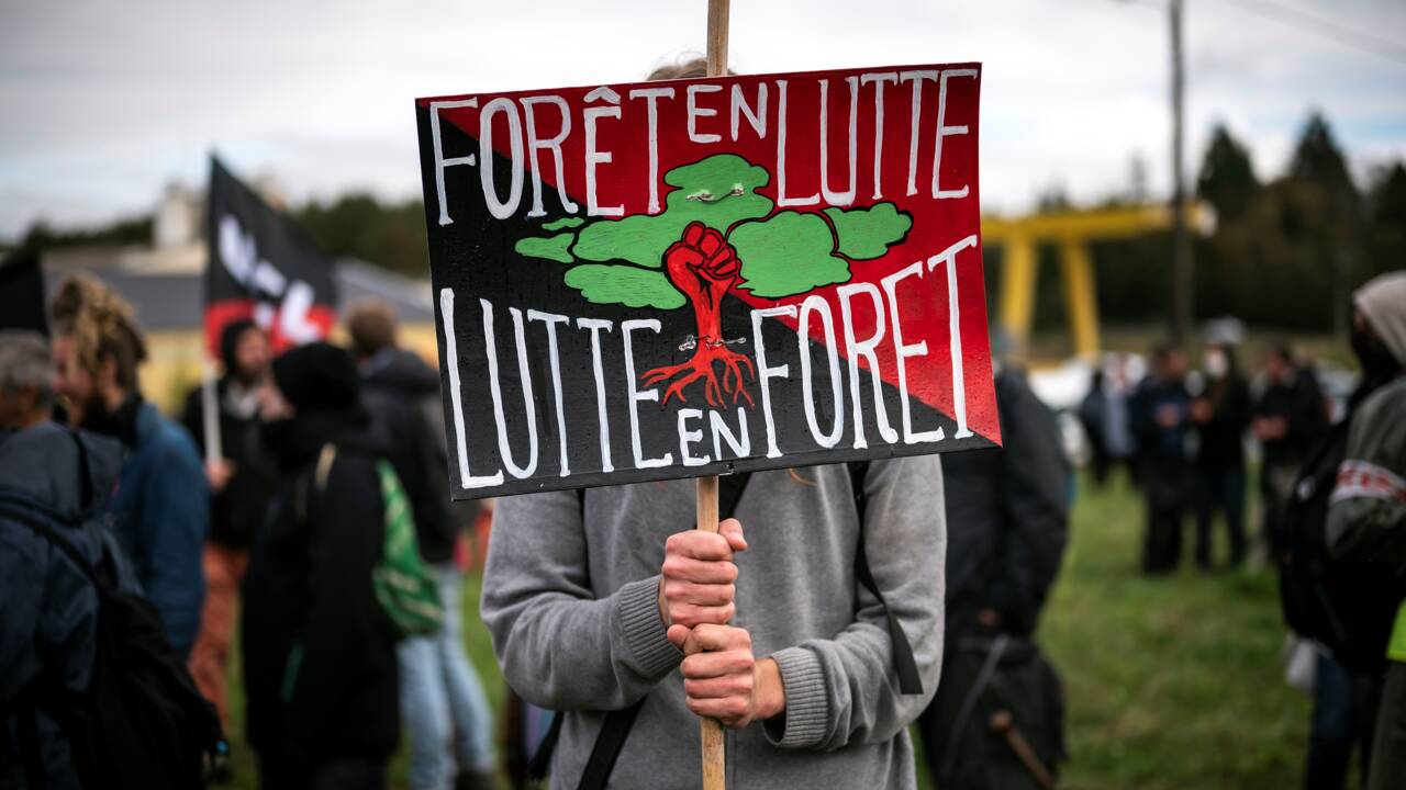 Manifestation dans les Pyrénées contre un projet d'une méga-scierie