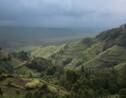 RDC : un écogarde tué dans une attaque au sein du parc national des Virunga