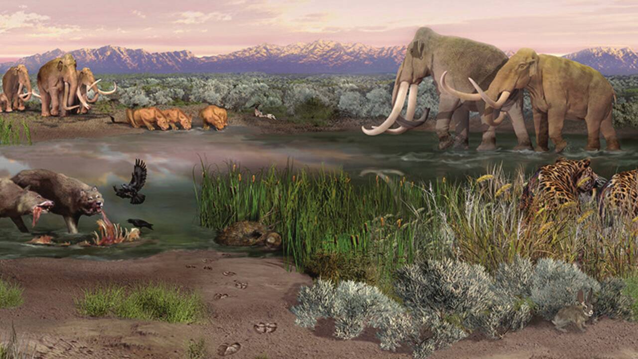 Des empreintes fossiles dévoilent une fascinante histoire vieille de 10000 ans