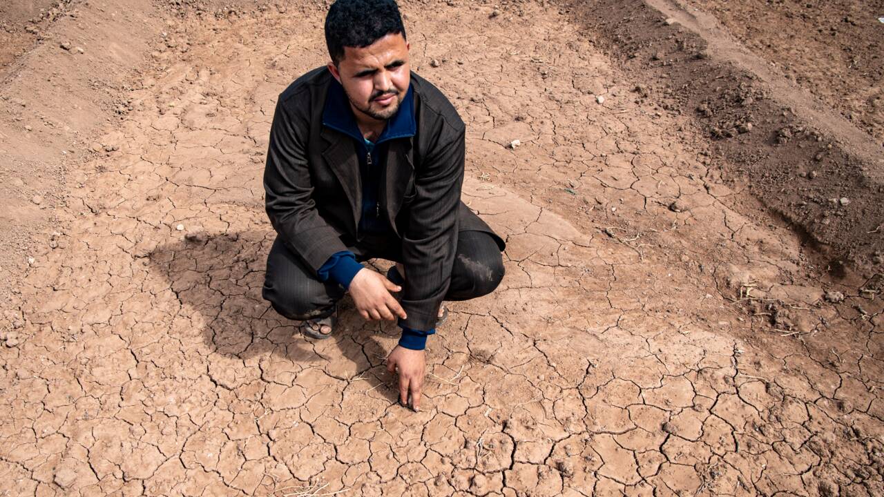 Au Maroc, la sécheresse menace de grandes zones agricoles