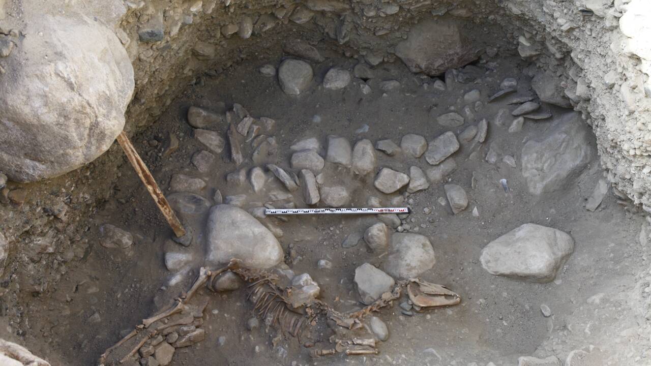 Des squelettes de chevaux révèlent qu'on pratiquait déjà l'équitation en Chine il y a 2500 ans